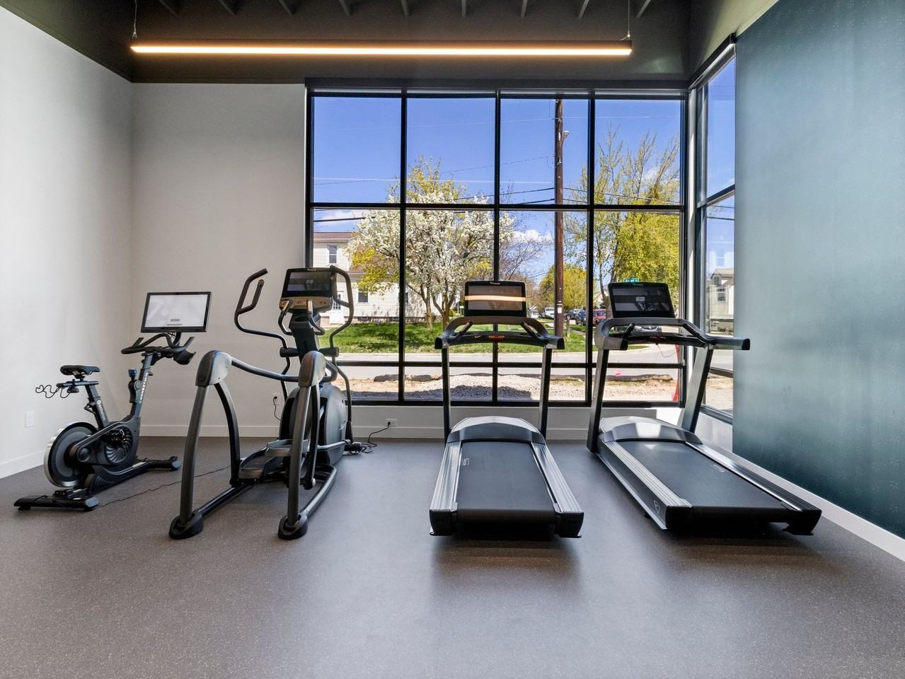 The Emree - Photo 6 of 50