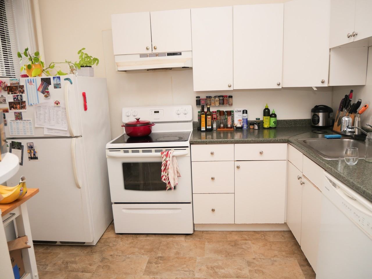 229 Saint Paul St. - Photo 3 of 12