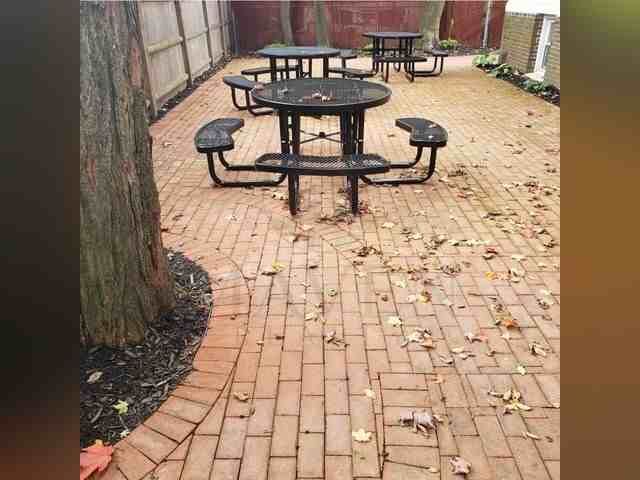 131 Orchard St #3 - Photo 6 of 6