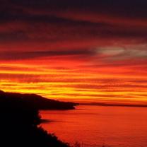 32759 Seagate Dr #105 - Photo 1 of 1