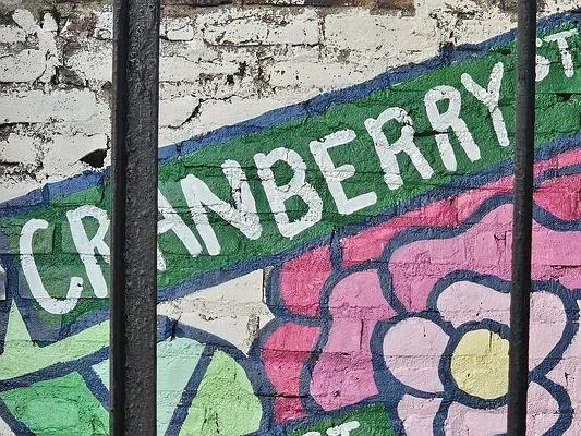 Cranberry St #5L - Photo 7 of 13