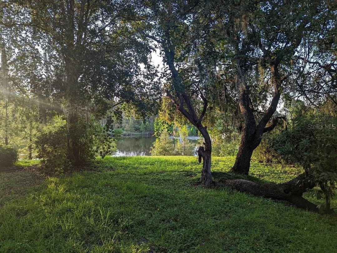 18126 Birdwater Dr - Photo 7 of 7