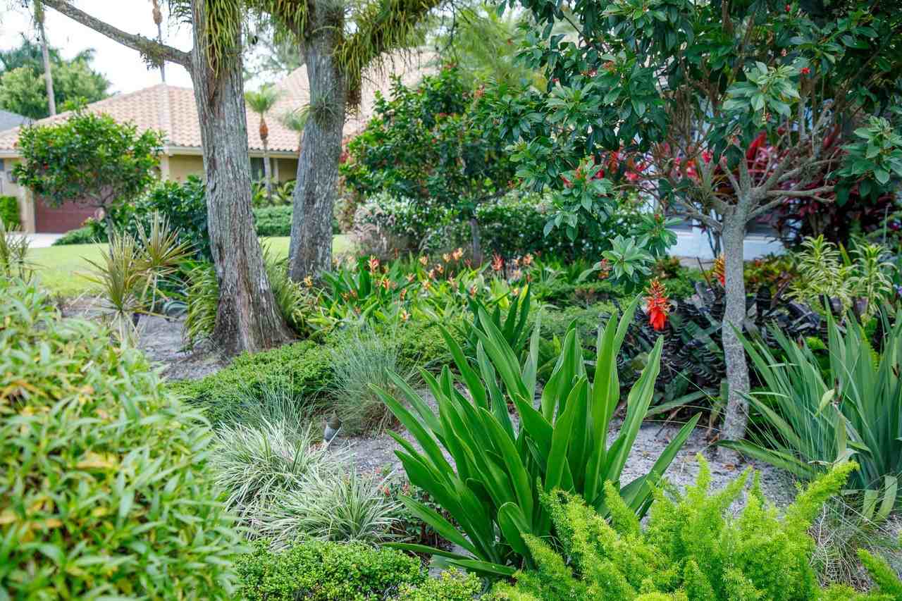 900 Cosmos Court - Photo 3 of 47