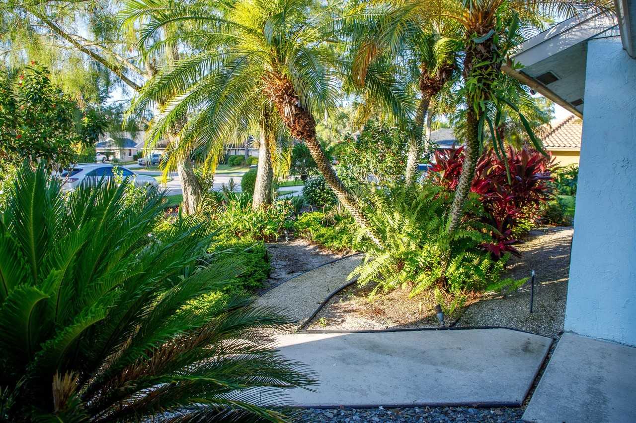 900 Cosmos Court - Photo 4 of 47