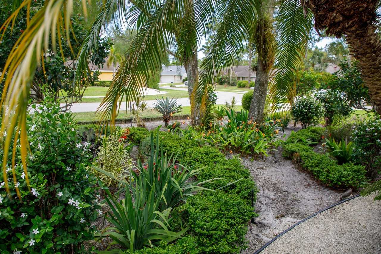 900 Cosmos Court - Photo 5 of 47