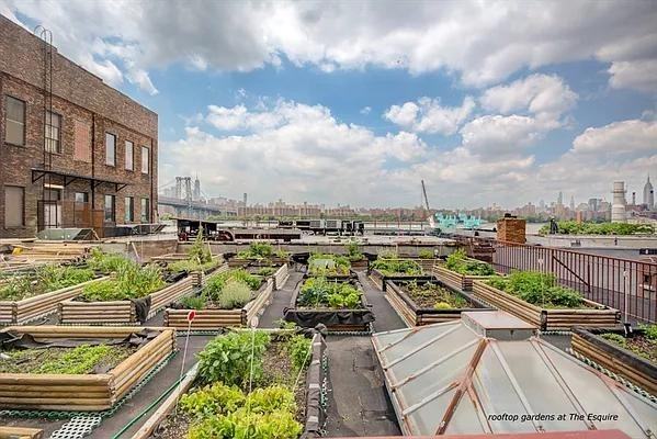 Wythe Ave #4H - Photo 7 of 8