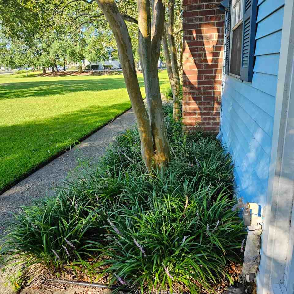 1110 Audubon Ave - Photo 3 of 12