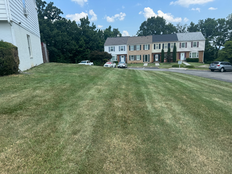 4625 Roxbury Ln - Photo 3 of 24