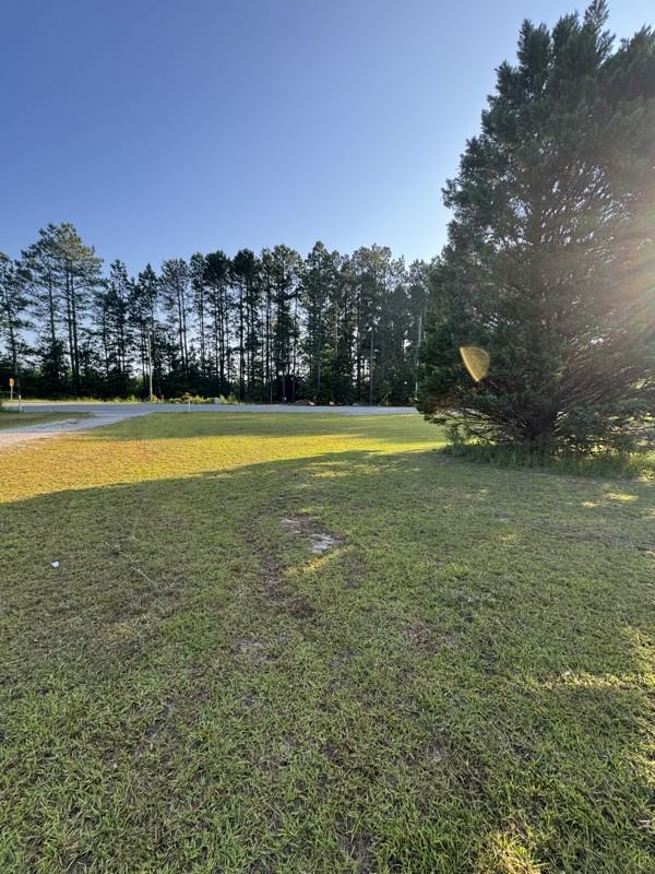 495 Westover Dr - Photo 6 of 20