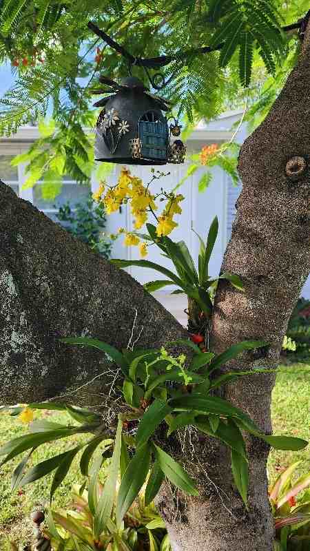 831 Plover Ave - Photo 5 of 20