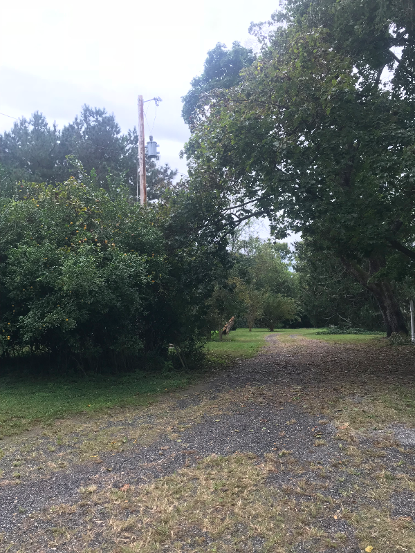 10812 Merrimack Pl - Photo 2 of 13