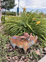 featured image of 1110 Sutton Dr