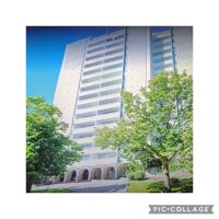 featured image of Bayly St W & Harwood Ave S