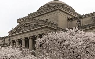 featured image of Carroll St