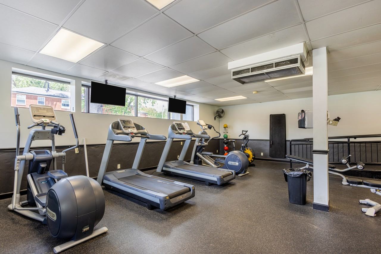 Suson Pines - Photo 6 of 84