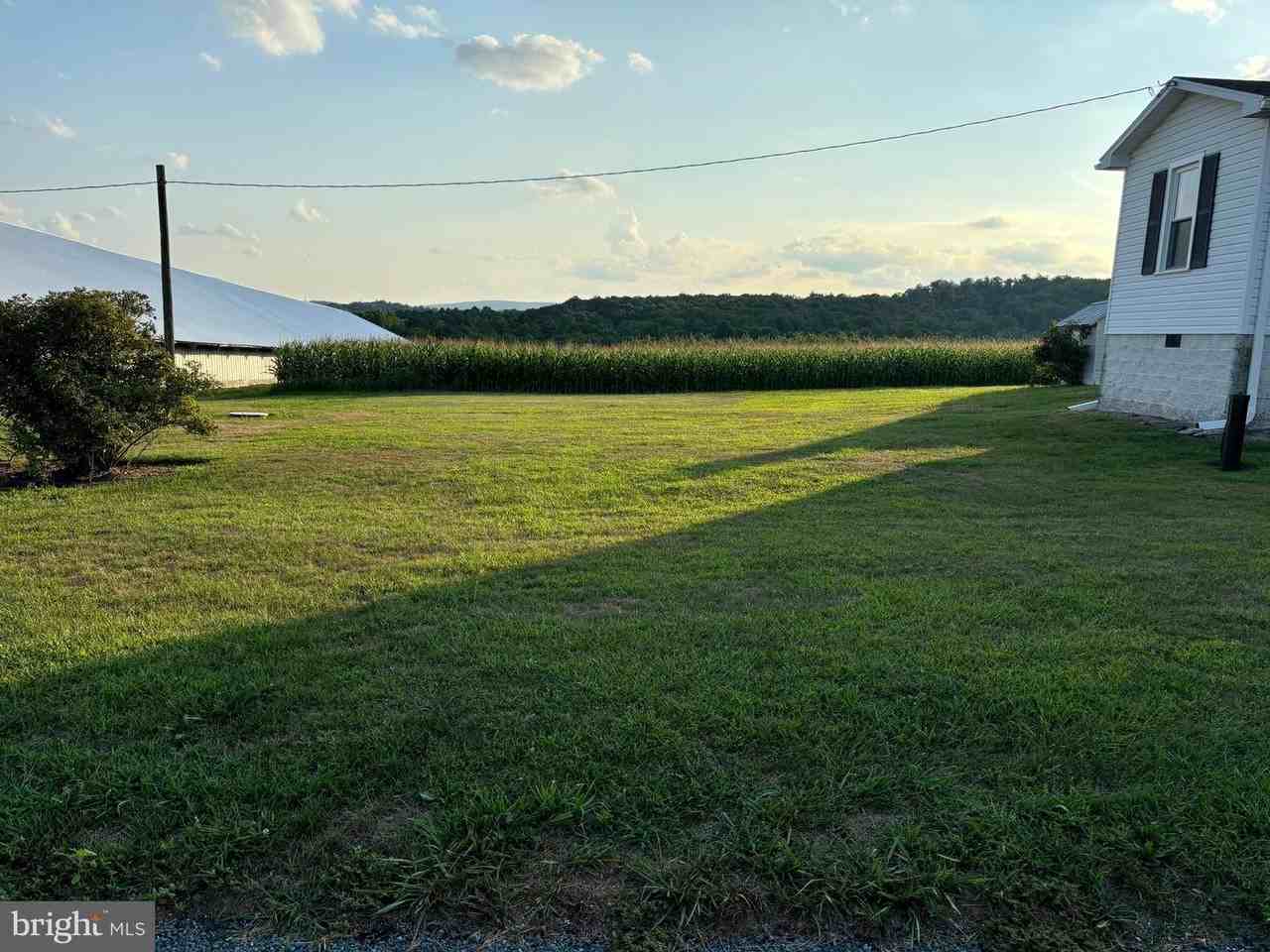 484 Celebration Hill Rd - Photo 3 of 25