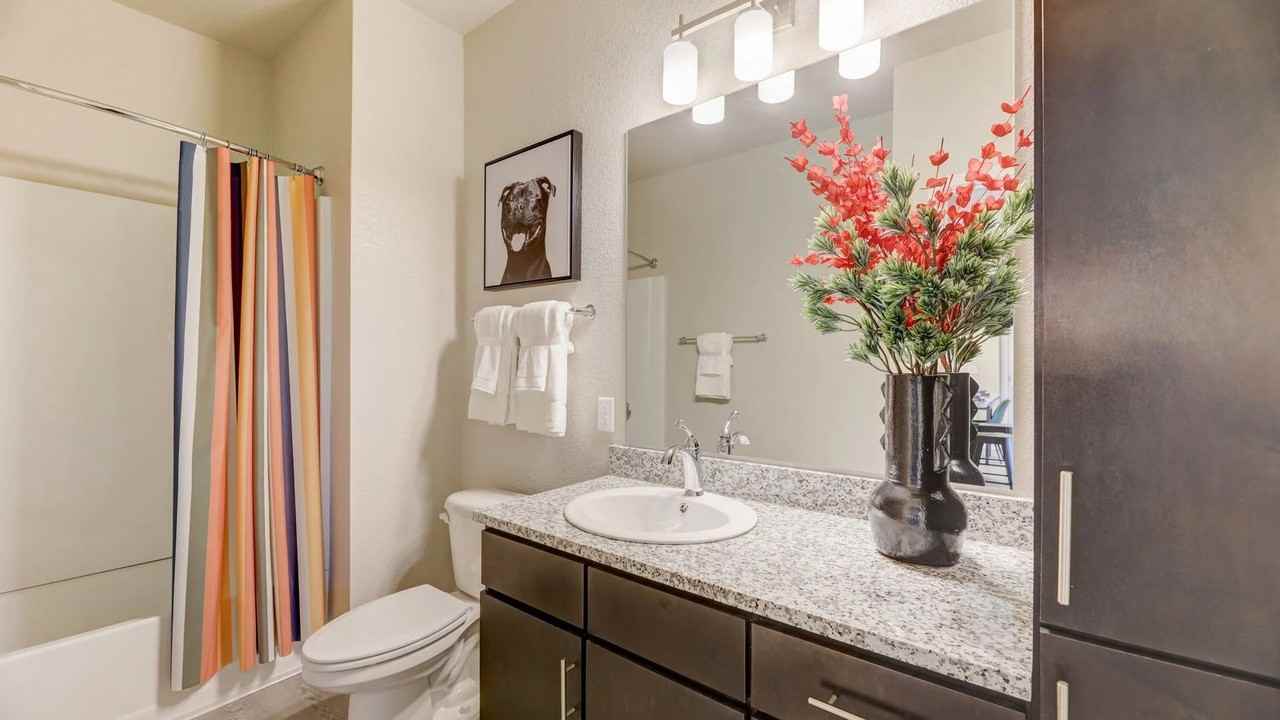 Springs at Locust Grove - Photo 4 of 20