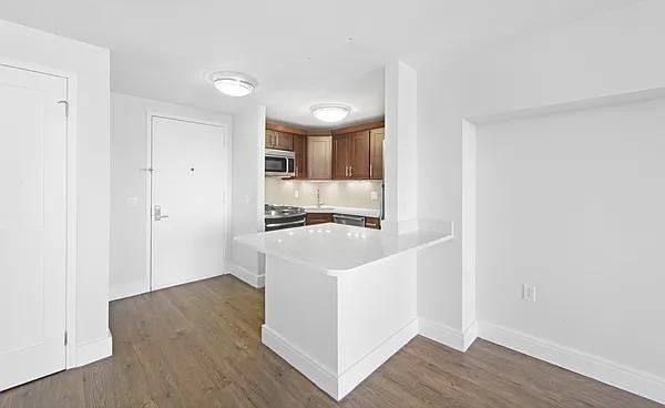 E 91st St #1007 - Photo 6 of 20