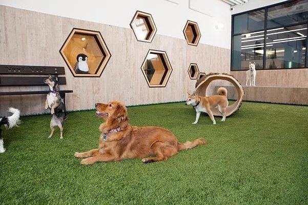 W End Ave #2811 - Photo 6 of 20