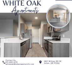WHITE OAK LUXURY APARTMENTS - Photo 1 of 1