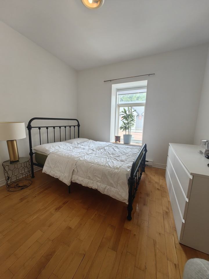 1568-1576 Rue de la Visitation - Photo 3 of 18