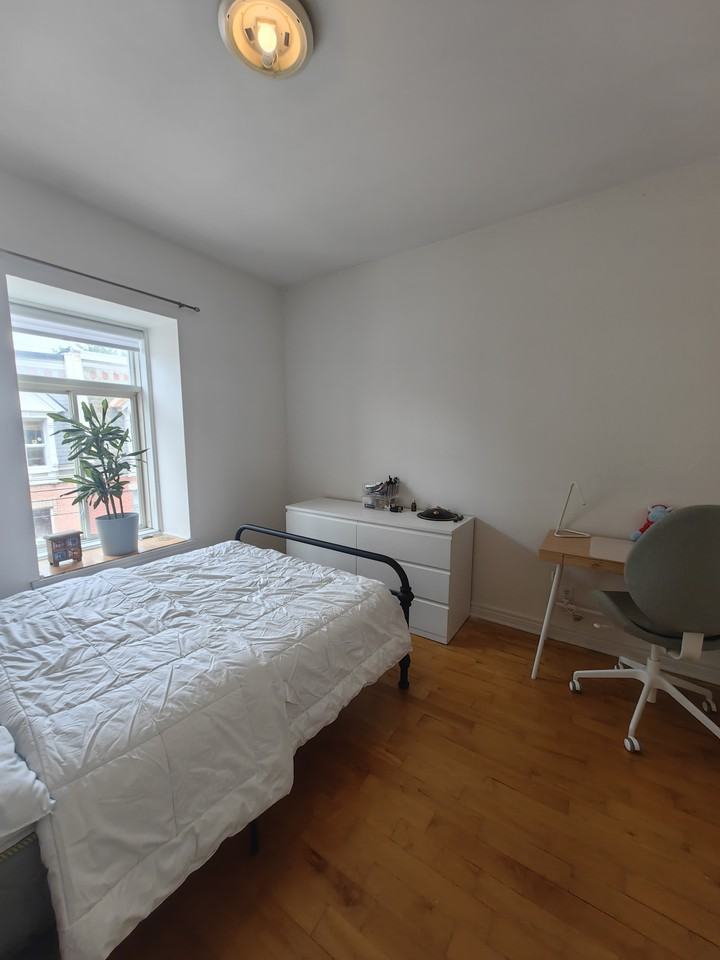 1568-1576 Rue de la Visitation - Photo 7 of 18