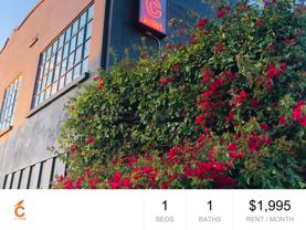 Mini Community 1 Bedroom Available NOW! - Photo 1 of 1