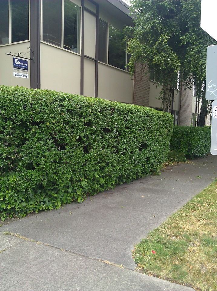 Pet-Friendly Roosevelt Retreat with Modern Kitchen | 6113 Apartments - Photo 2 of 3