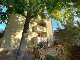 featured image of 2925 Ellis St #2