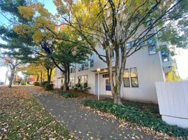 featured image of 1135 1135 - 1139 17th Ave