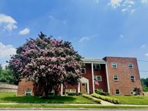 Arbor Place - Photo 1 of 1