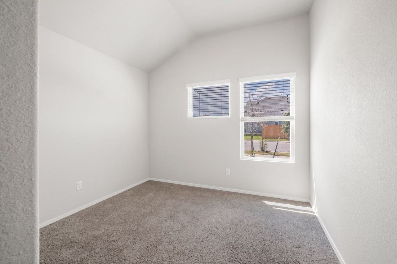 217 Spiny Lizard Ln - Photo 5 of 23