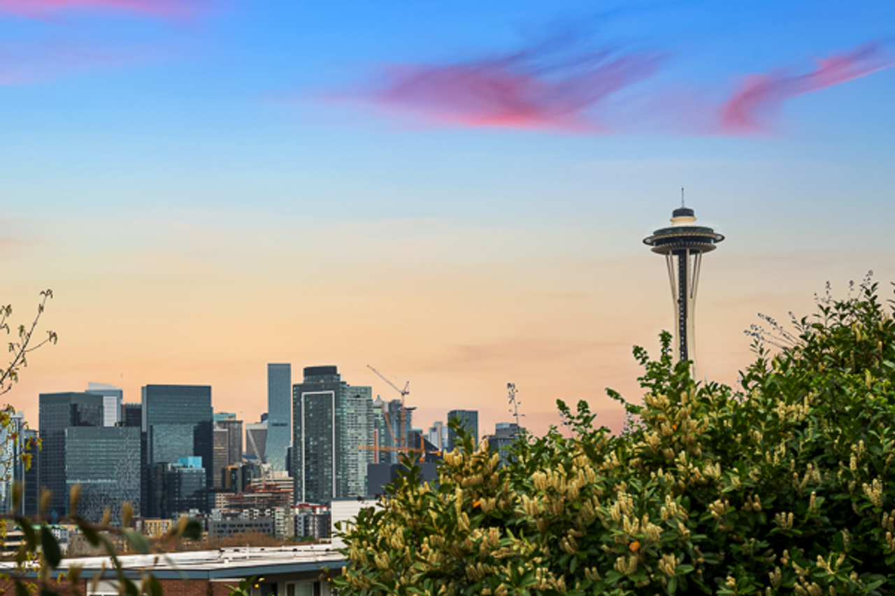 Wiloma - Photo 7 of 8