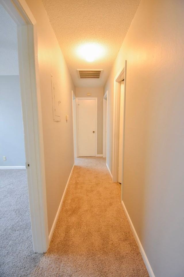 817 Bronco Ln - Photo 3 of 10