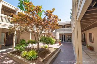 439 Alberto Way #204 - Photo 1 of 1