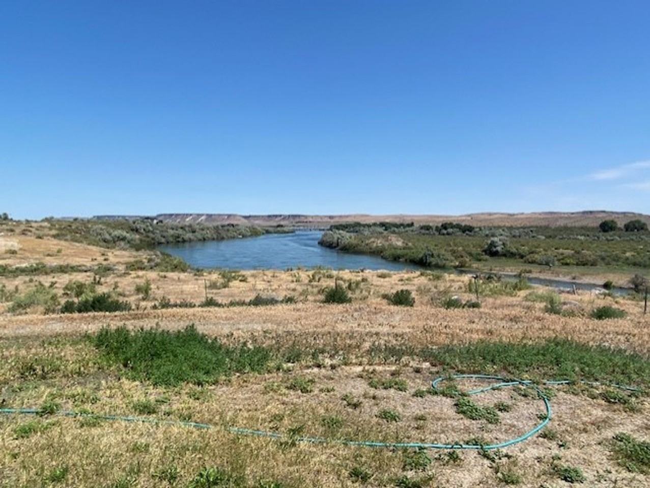 11775 Snake River Ln - Photo 3 of 47