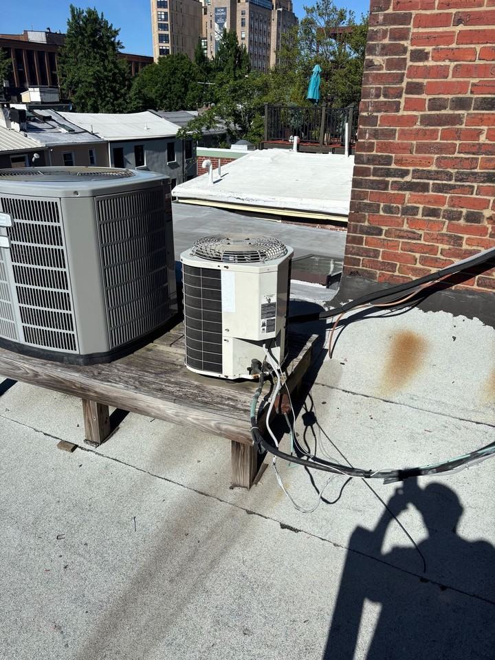 1712 Pine St - Photo 4 of 4