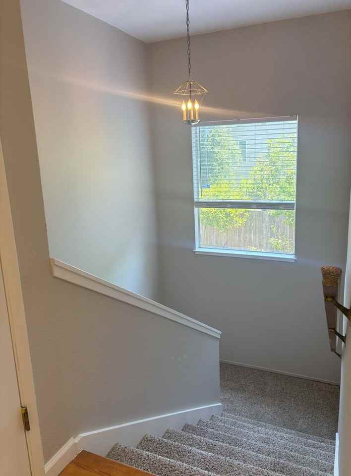 6904 Windsor Way - Photo 3 of 12