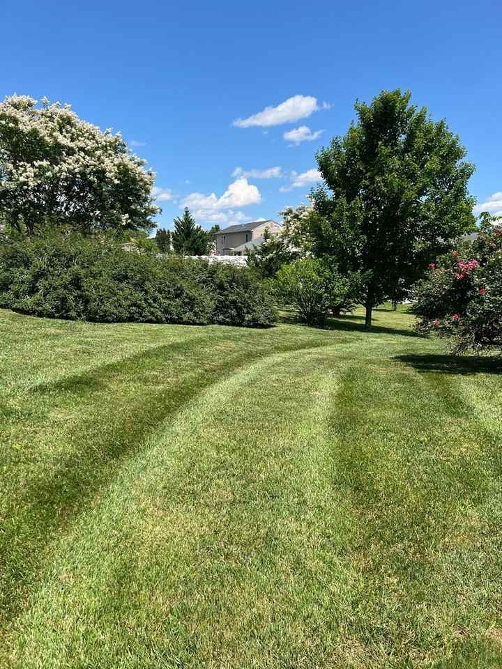 6815 Cee St - Photo 2 of 19