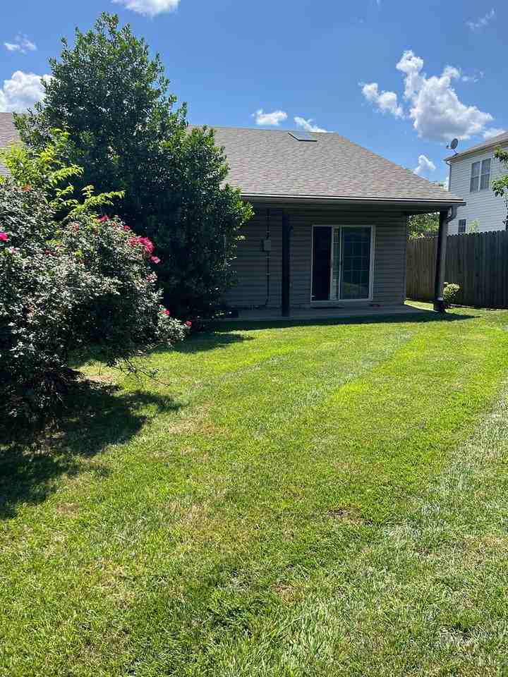 6815 Cee St - Photo 3 of 19