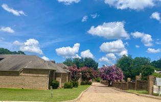 featured image of 222 Cambridge Rd