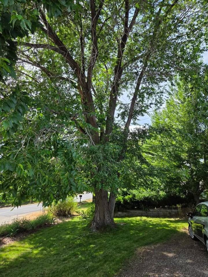 2250 Howe St - Photo 7 of 23