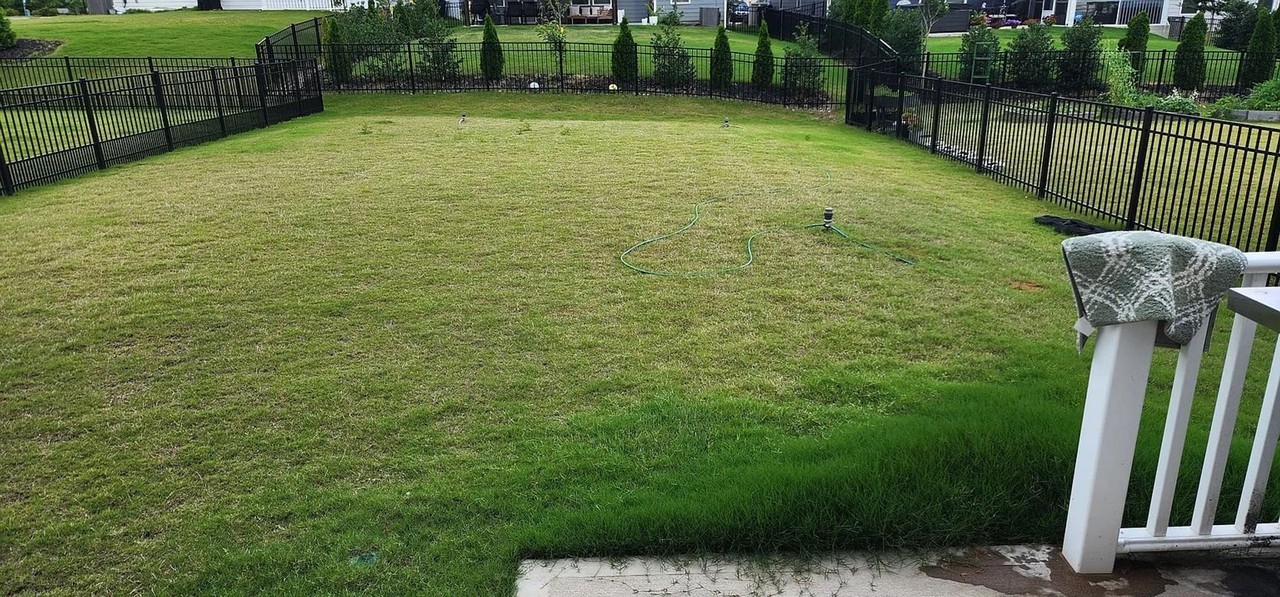 11148 Godwit Ln - Photo 2 of 36