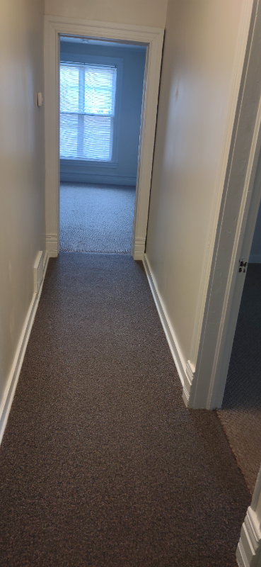 115 No. 5Th St. St. Charles - Photo 4 of 12