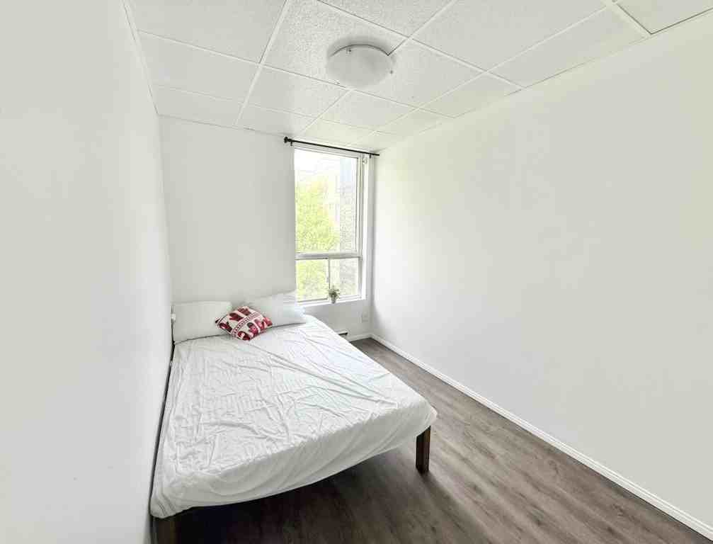 344.5 1653 Richmond St #4 - Photo 4 of 6