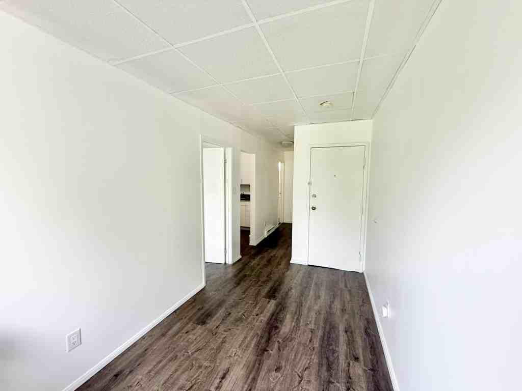 344.5 1653 Richmond St #4 - Photo 6 of 6