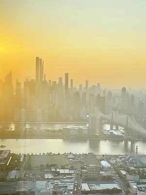 Court Sq - Photo 5 of 20