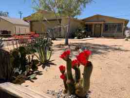 featured image of 6186 Chia Ave