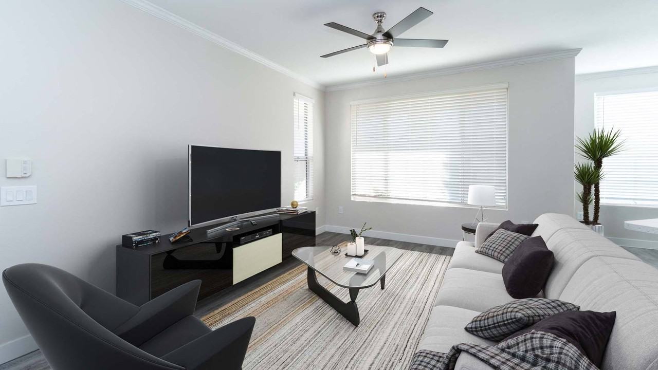 Symphony - Photo 2 of 25