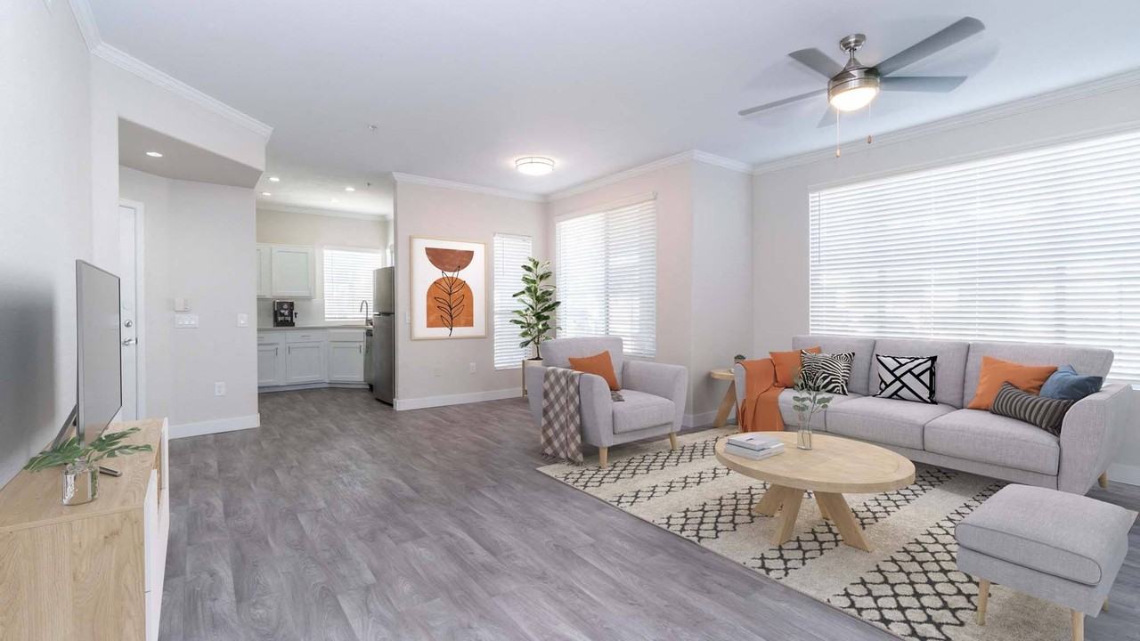 Symphony - Photo 5 of 25